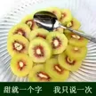 缩略图 2