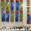 缩略图 10
