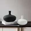 缩略图 2