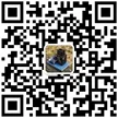 缩略图 6