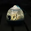 缩略图 2