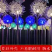 缩略图 1