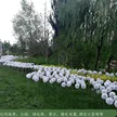 缩略图 2