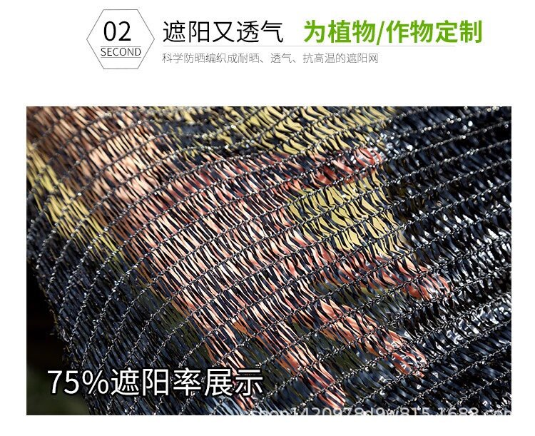 详情页5.jpg
