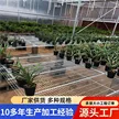 缩略图 2