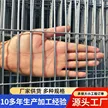 缩略图 4