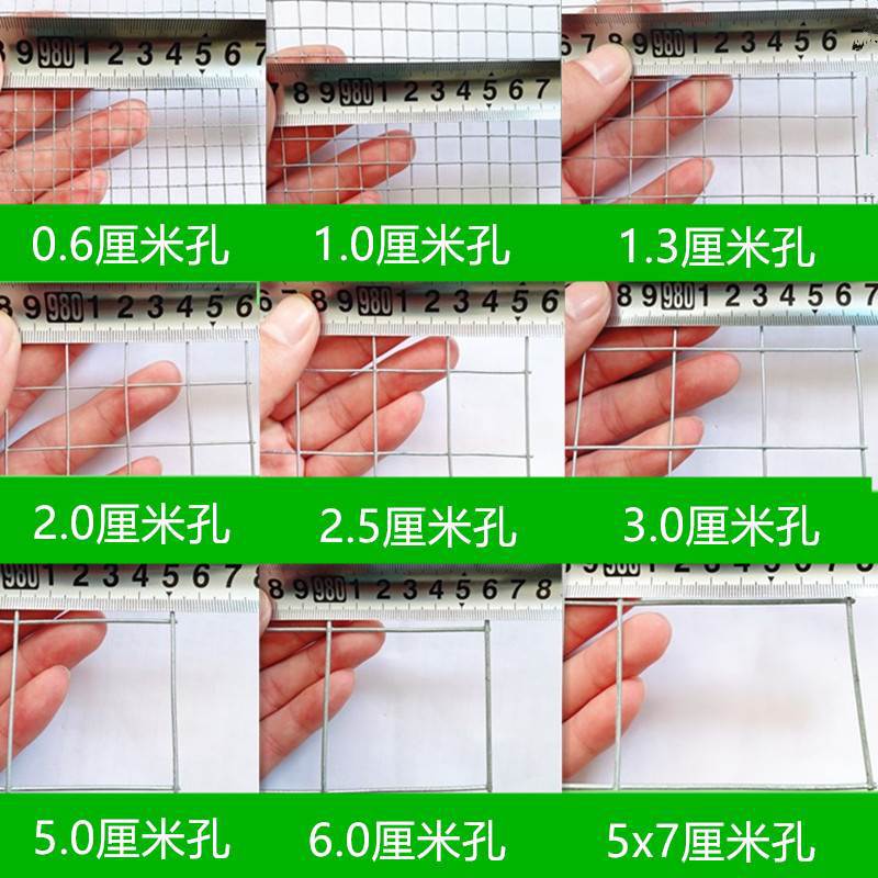 电焊网整卷隔离铁丝网  护栏镀锌钢丝网 防护鼠铁网格 不钢铁丝网详情2
