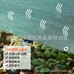 缩略图 5