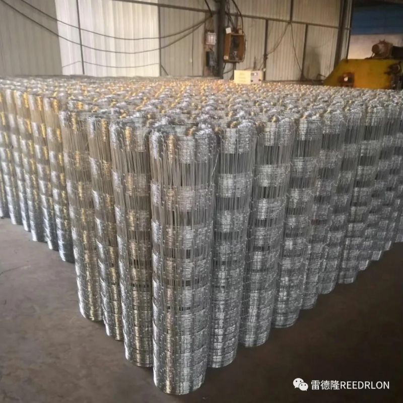 50雷德隆牛栏网GAME WIRE详情6