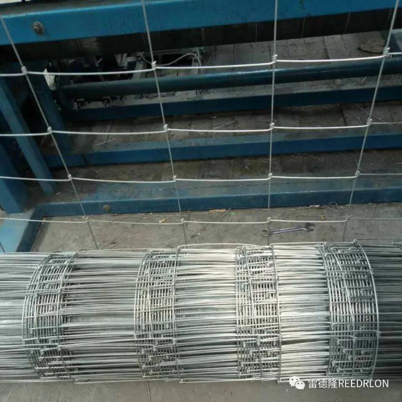 50雷德隆牛栏网GAME WIRE详情2