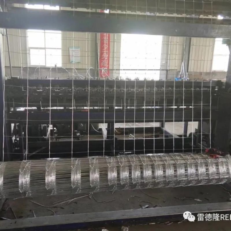 50雷德隆牛栏网GAME WIRE详情3