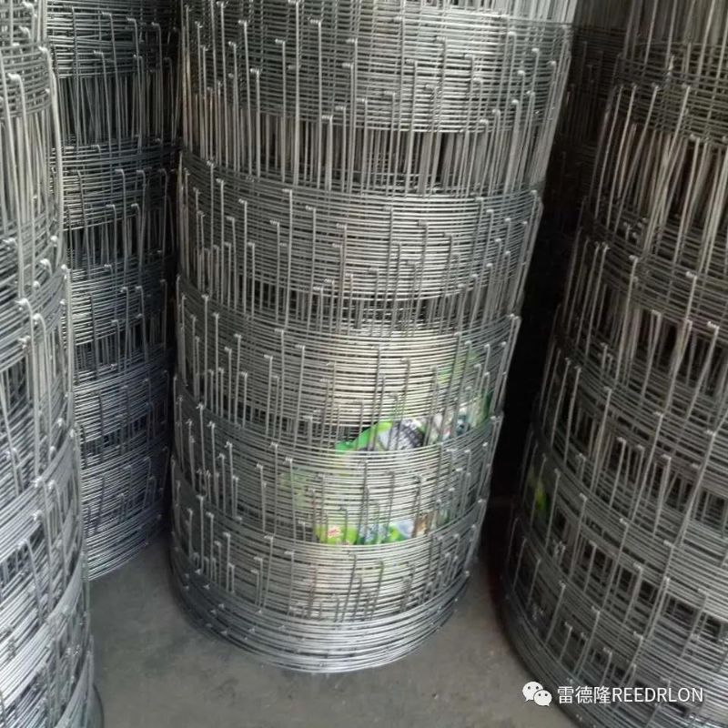 50雷德隆牛栏网GAME WIRE详情5