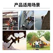 缩略图 4