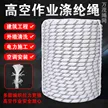 缩略图 1