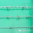 缩略图 1