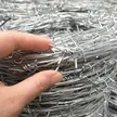 缩略图 3