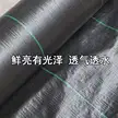 缩略图 4