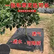 缩略图 3