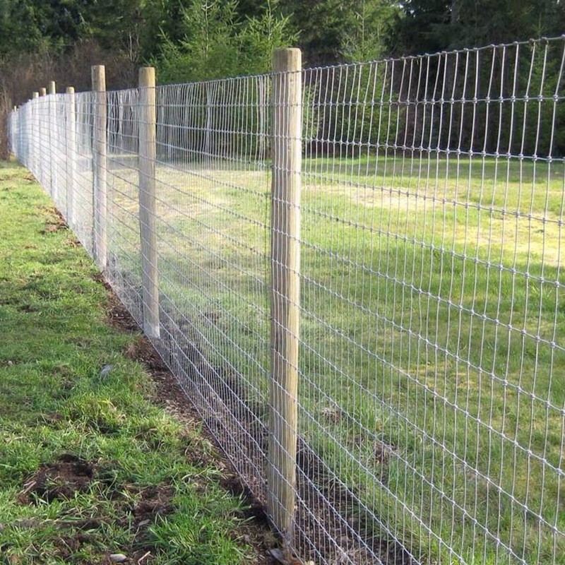 AOLE 牛栏网Cow Mesh 马网 Horse Mesh 鹿网 Deer Mesh Wire Mesh 铁丝网详情3