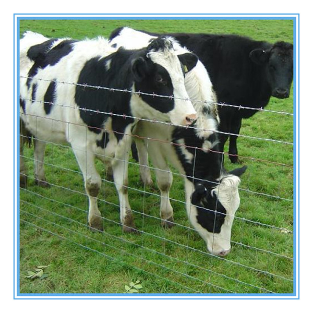 AOLE 牛栏网Cow Mesh 马网 Horse Mesh 鹿网 Deer Mesh Wire Mesh 铁丝网详情5
