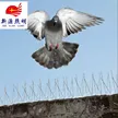 缩略图 4