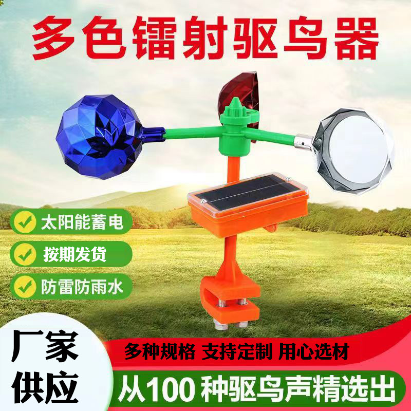 2 精选.jpg