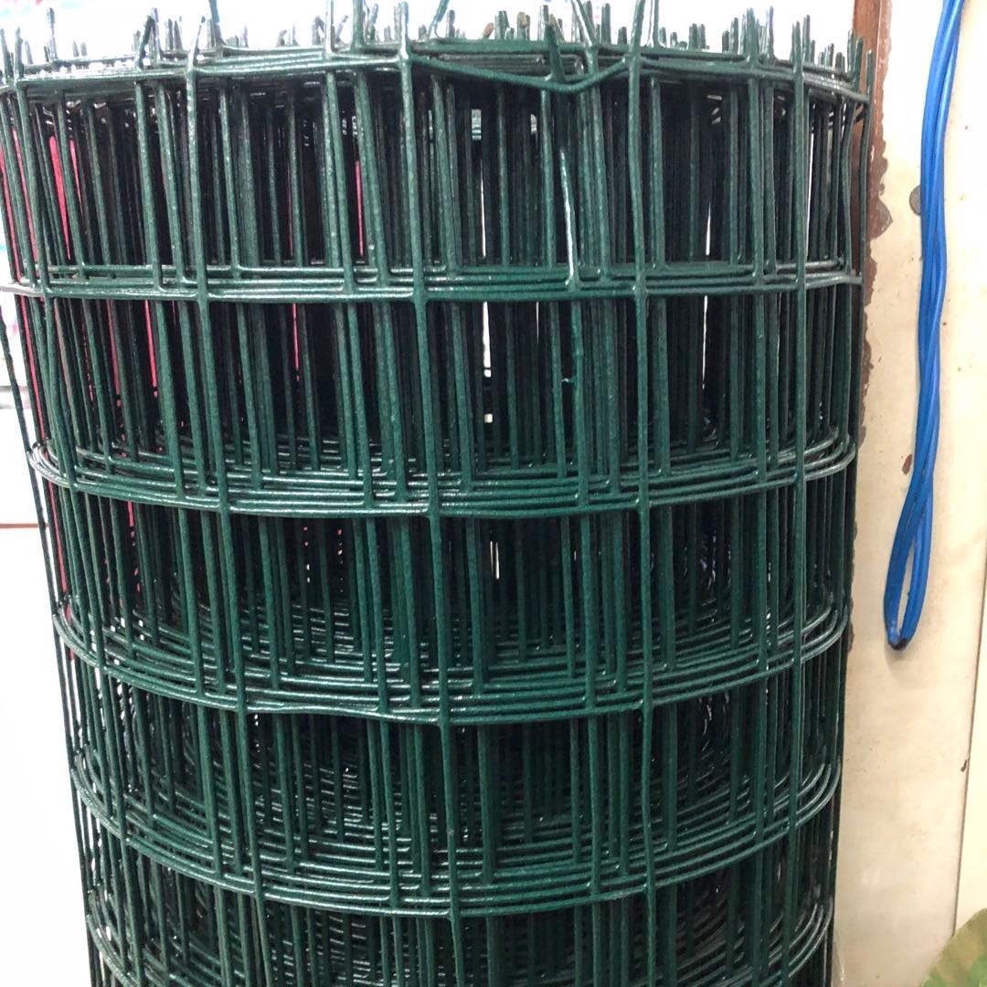荷兰网铁丝网围栏养殖网养鸡网栅栏护栏防护网钢丝网隔离铁网详情1