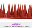 缩略图 2