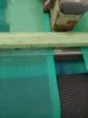 缩略图 5