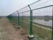 缩略图 8
