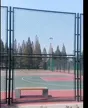 缩略图 7