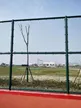 缩略图 6