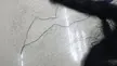 缩略图 1