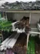 缩略图 2