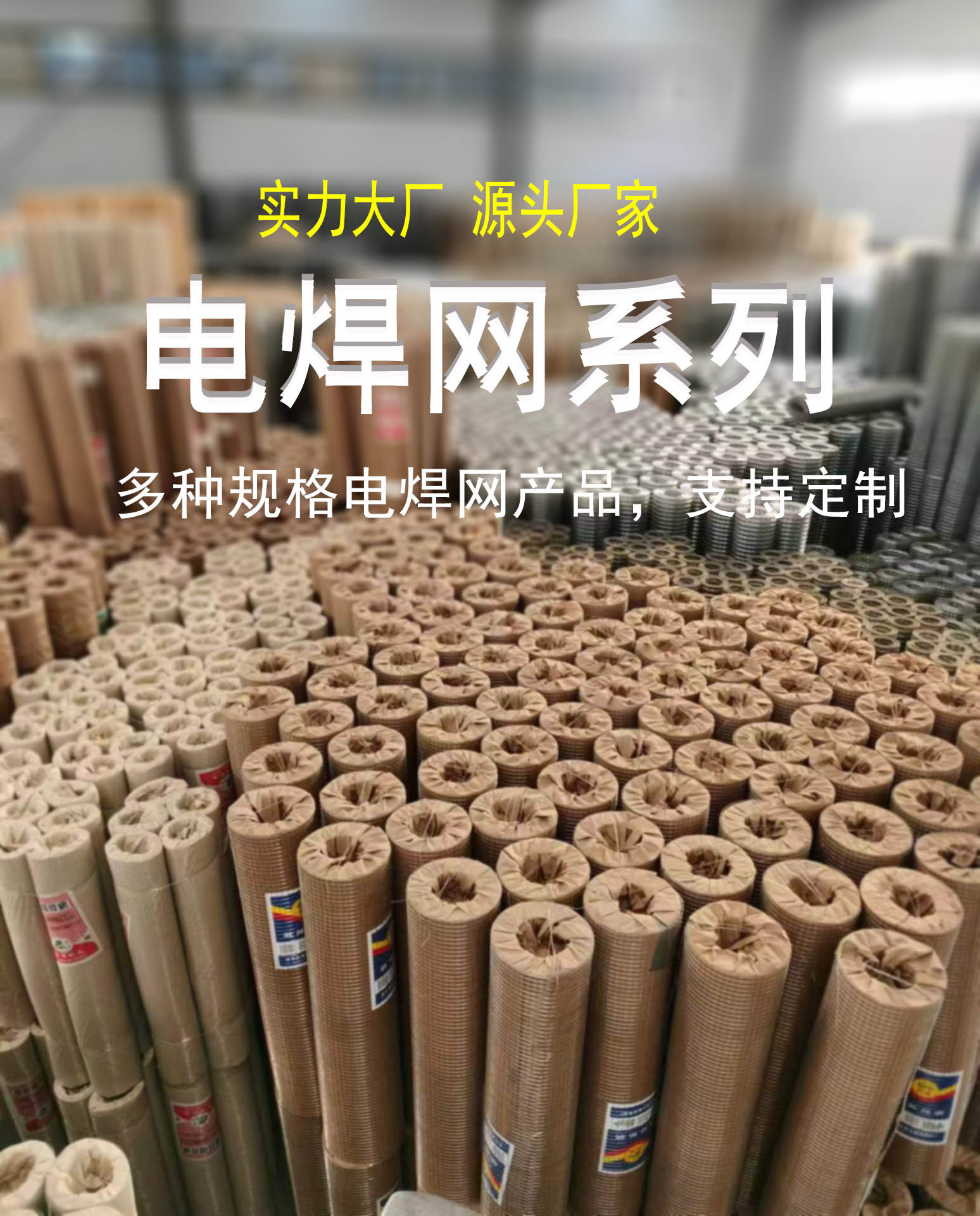 镀锌铁丝网外墙保温防裂镀锌网粉墙电焊网养殖钢丝网不锈钢电焊网详情1