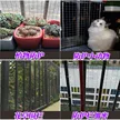 缩略图 5