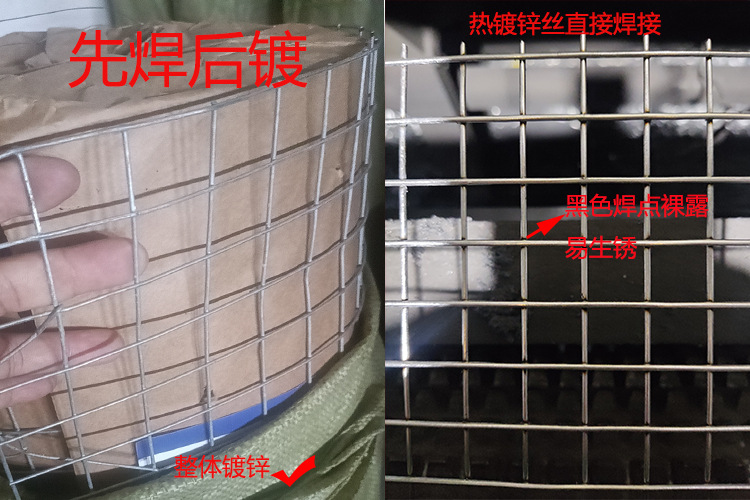 工厂批发加粗热镀锌铁丝网3cm孔不生锈养殖围栏栅栏网抹墙电焊网详情2