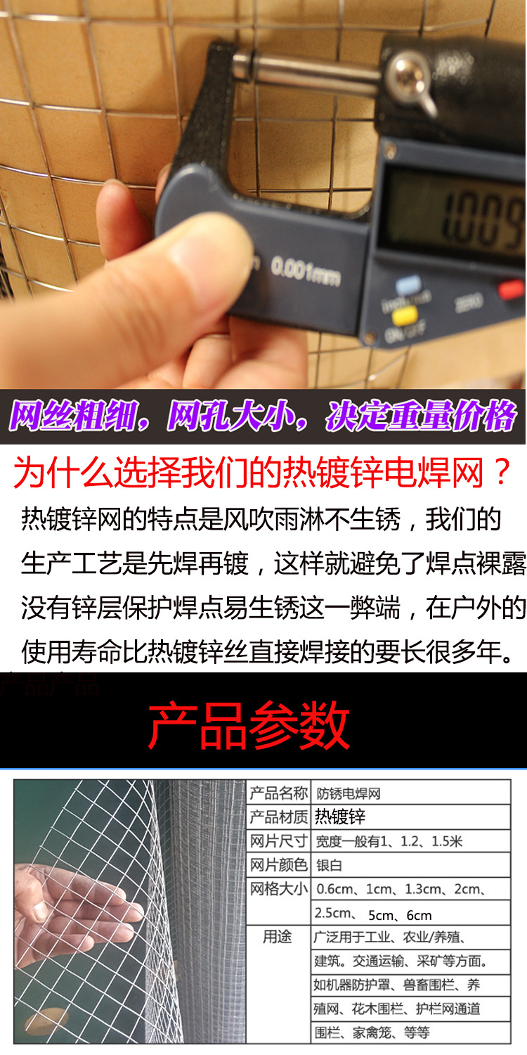 工厂批发加粗热镀锌铁丝网3cm孔不生锈养殖围栏栅栏网抹墙电焊网详情3