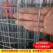 缩略图 2