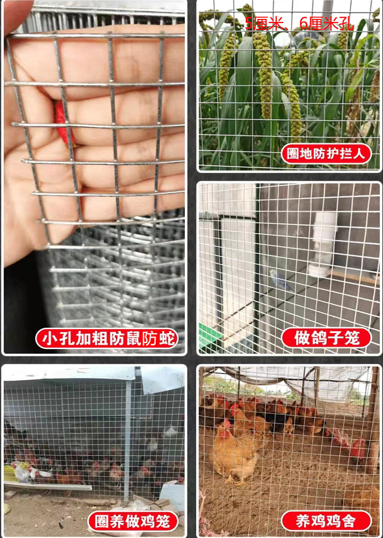 工厂批发加粗热镀锌铁丝网3cm孔不生锈养殖围栏栅栏网抹墙电焊网详情5