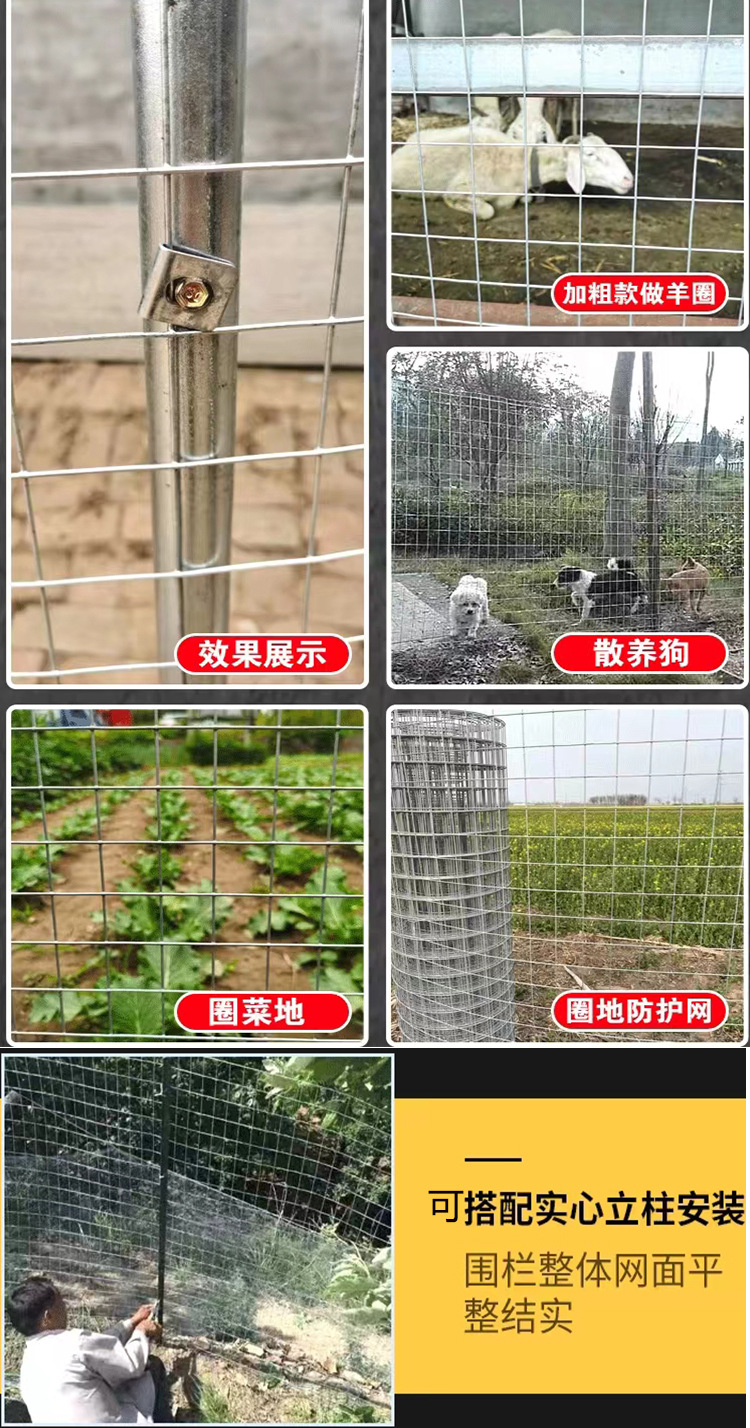 工厂批发加粗热镀锌铁丝网3cm孔不生锈养殖围栏栅栏网抹墙电焊网详情6