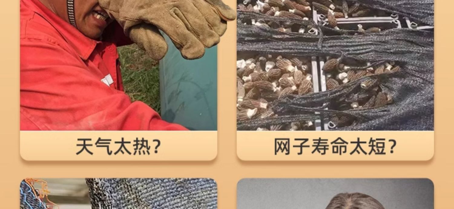 植物大棚专用网遮阴隔热网庭院阳台多肉黑色遮阳网加密加厚防晒网详情13