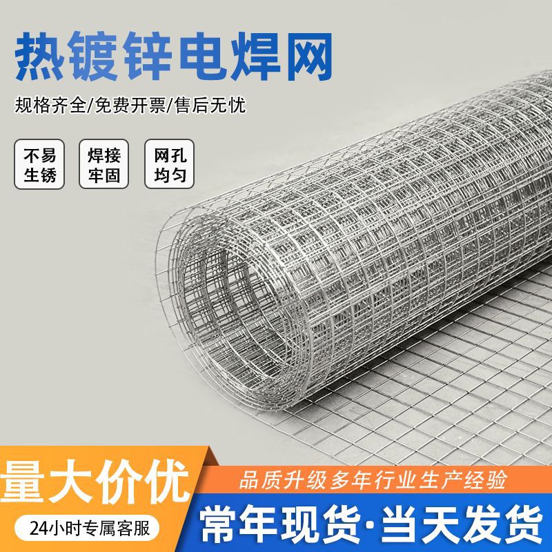 热镀锌电焊网钢丝网抹墙细铁丝电焊网内外墙保温防开裂焊接方格网详情1