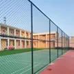 缩略图 2