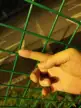 缩略图 4