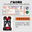 缩略图 2