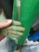 缩略图 8