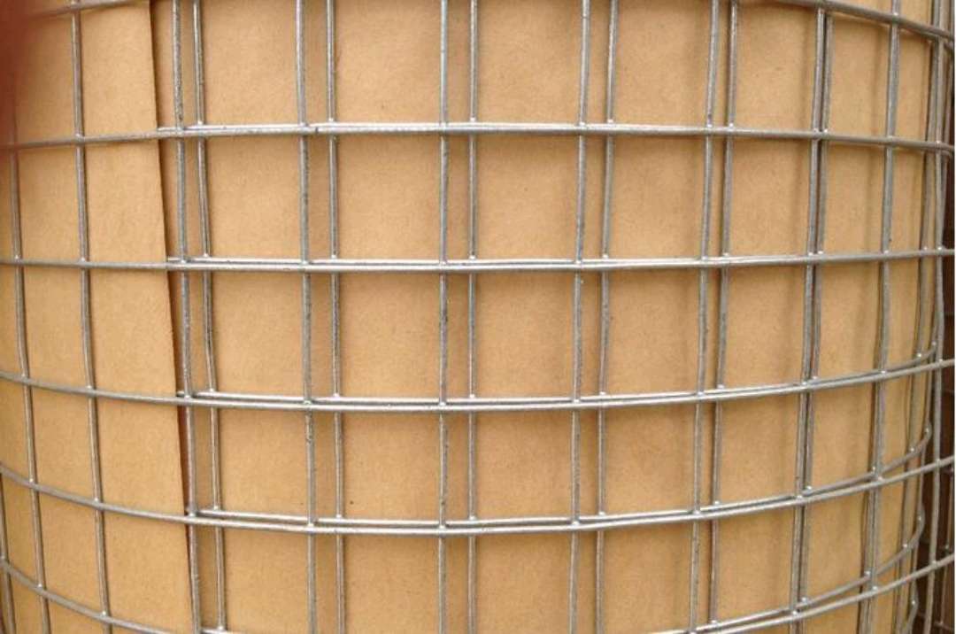 电焊网 铁丝网 pvc 养殖网详情2