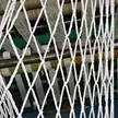 缩略图 4