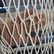 缩略图 5